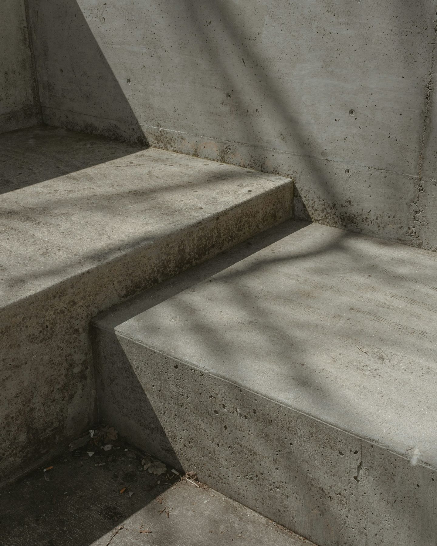 Concrete steps with shadows of branches